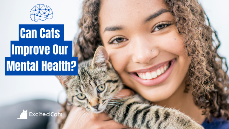 Can owning a cat improve mental health?